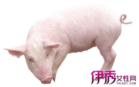 土猪命缺什么