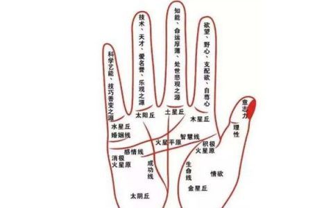 辽宁哪里算命准