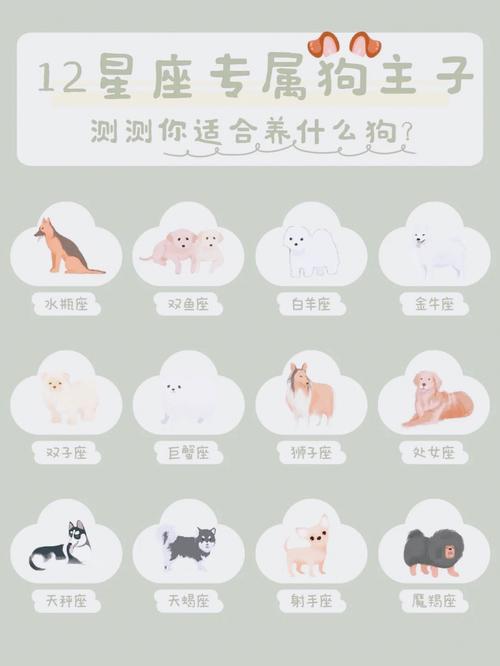 白羊座向往的生活方式
