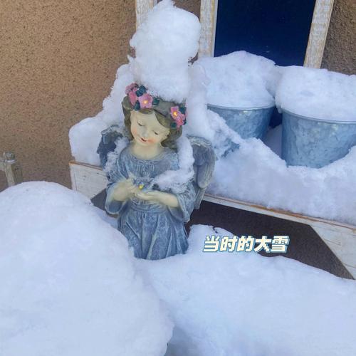 满天星养家里吉利吗