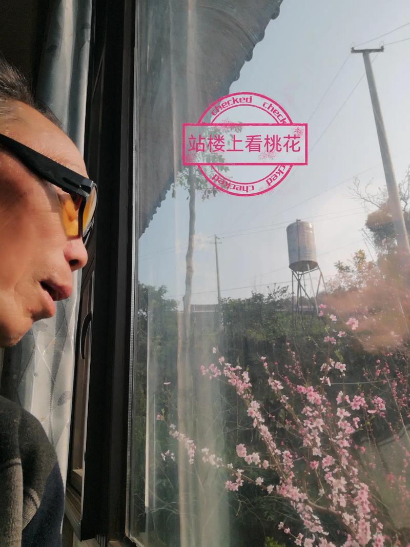 梦见桃树但是没有桃有什么征兆