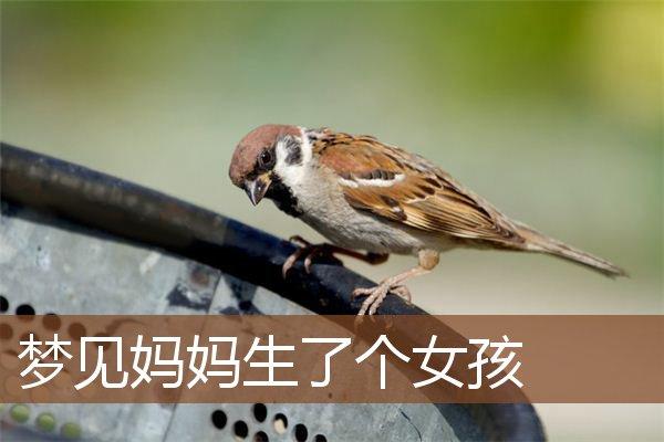 中年女人梦见生个女孩