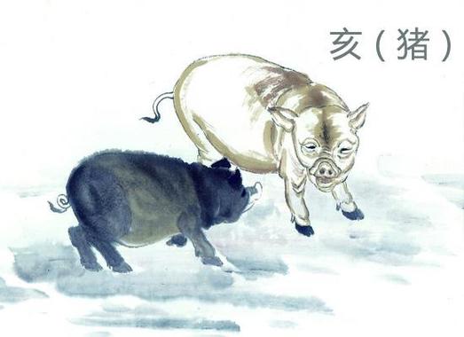 生肖猪如何看待另一半出轨