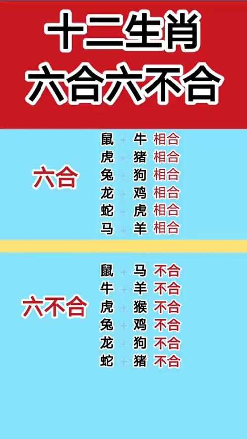 有哪些生肖组合不和?