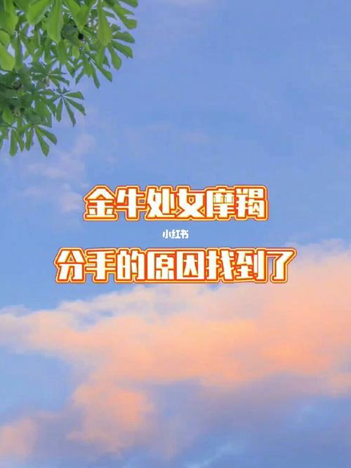 金牛座提出分手摩羯女