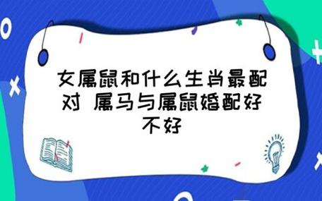 属鼠女和属马男生可以婚配吗,在一起结局好不好