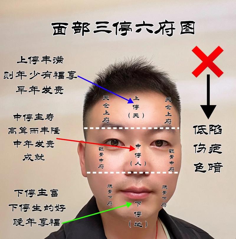 鼻子很大的男人看相