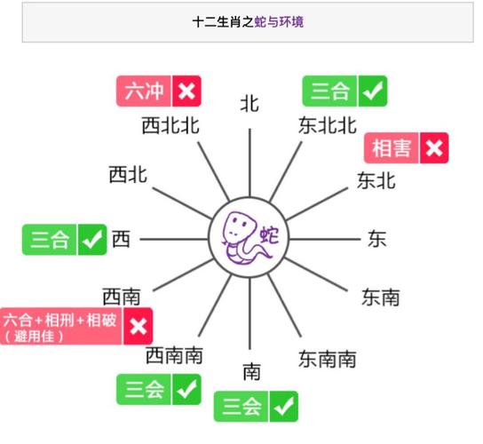 如何正确地定位自己的生肖