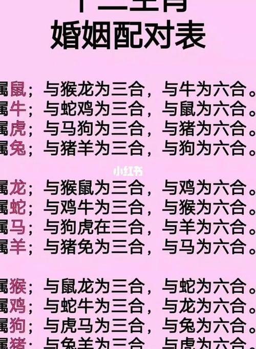 感情能够走得长远的生肖组合