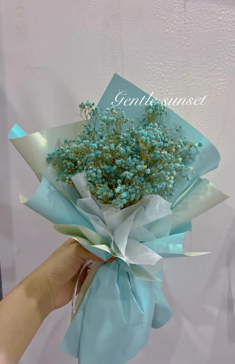 满天星干花放家里风水好吗
