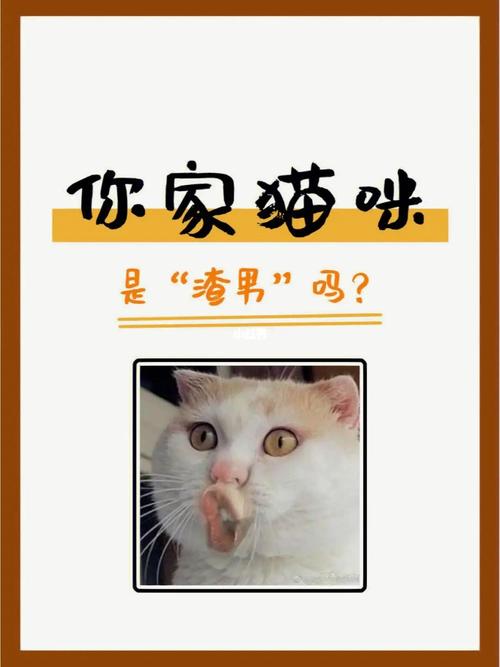 哪些生肖最擅长一言不合秀恩爱?