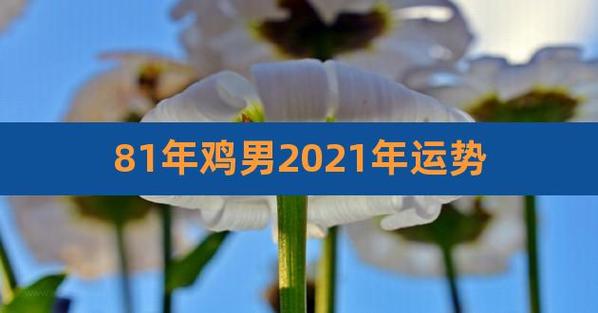 81年属鸡男性2021年事业运势