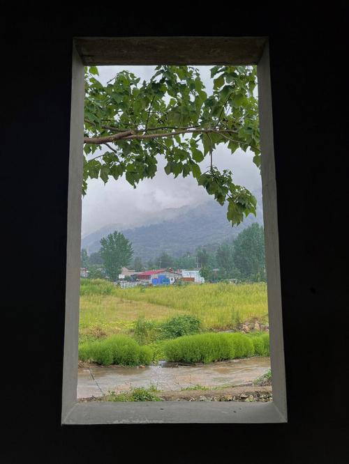 梦到山上下雨