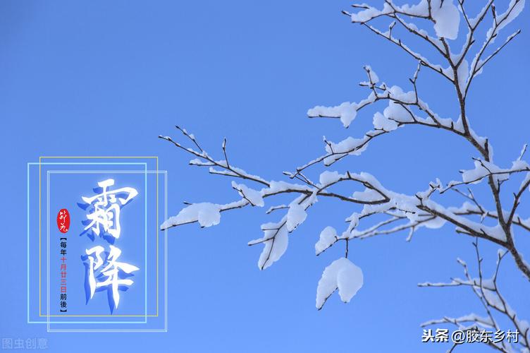 霜降这一天日子好不好?霜降适宜做什么事情