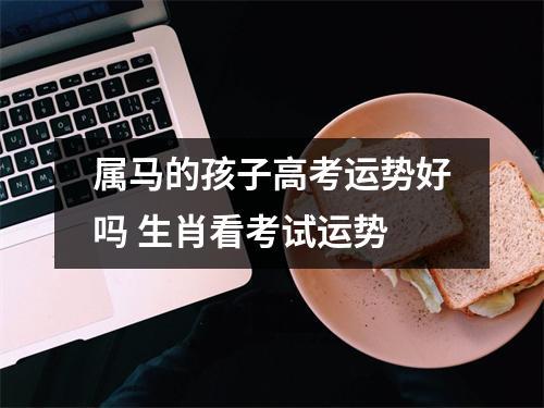 属马考前会如何放松自己?