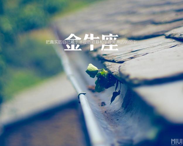 会把孩子宠得无法无天的星座