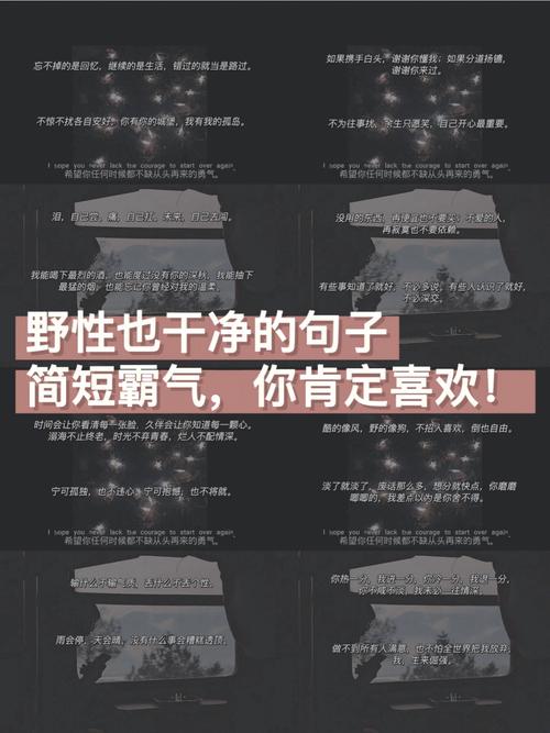 巨蟹座:宁可孤单,也不违心,宁可抱憾,也不将就。
