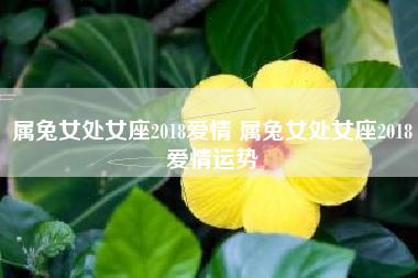 属兔的女人性格和爱情