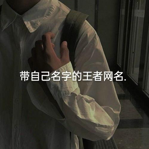 姓王男孩三字帅气名字