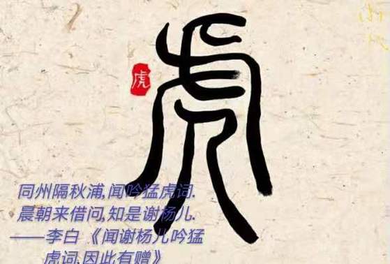 总是对规则不爽的生肖,就是喜欢扬沙子