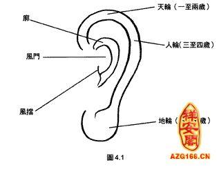 如何从耳朵看人一生事业和财运?耳朵算命怎么算?