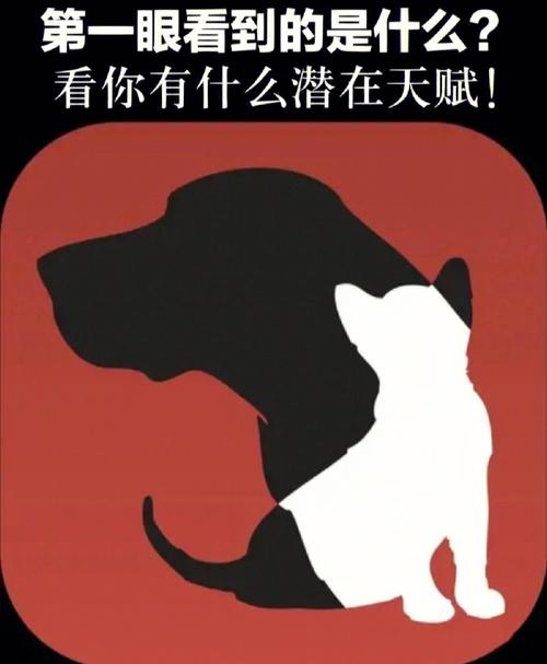 测试你这一生会遇到什么难关