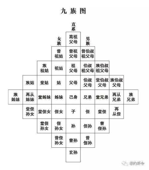 段氏家族八大分支辈分顺序排列表