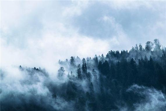 梦见坠落山谷周公解梦,梦见坠落山谷是什么意思?