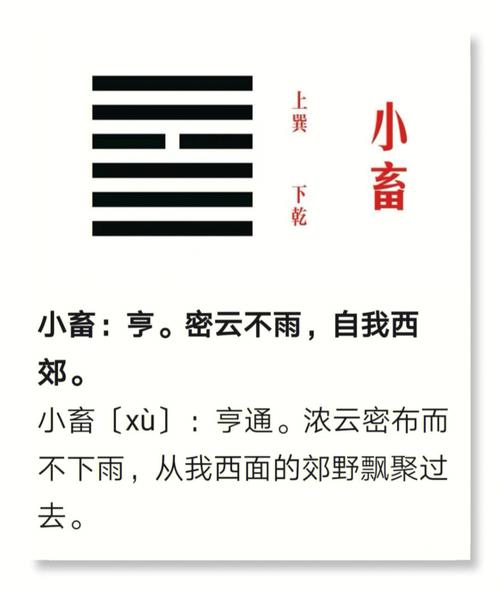 第九卦 小畜 风天小畜 巽上乾下
