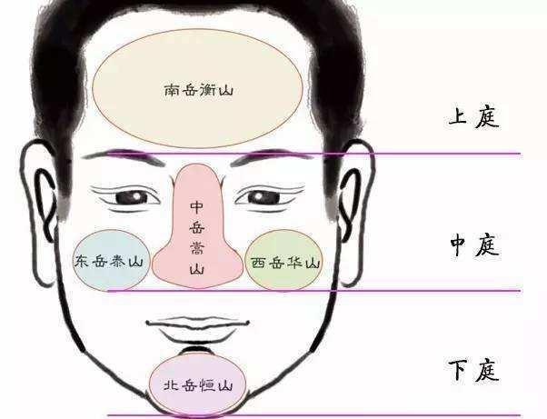 面相三停看一生运势