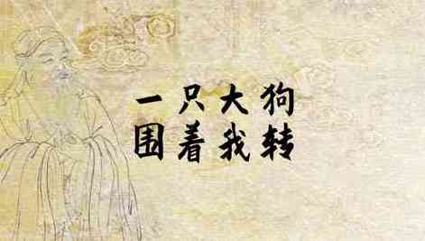 梦见大狗围着我转