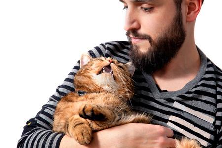 梦见男人抱着猫