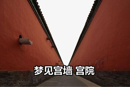梦见宫墙、宫院