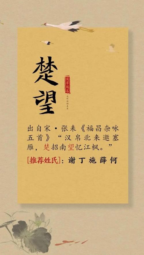 属虎男孩起名字适合用的字,2022年吉利宝宝名字推荐