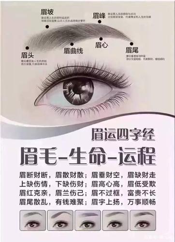 眉毛看婚姻好不好