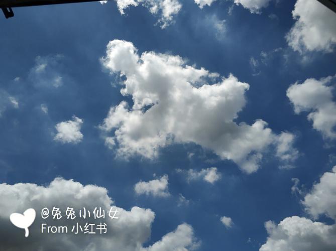 梦见云遮太阳怎么回事
