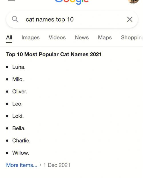好听的猫名字英文名字