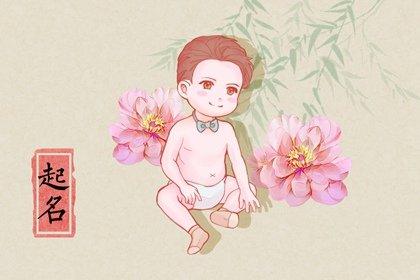 属羊寅时出生的男孩