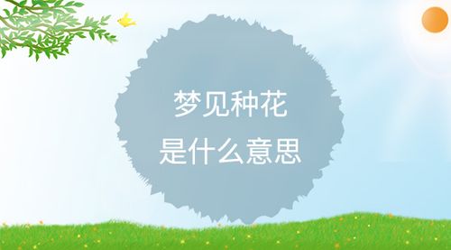梦见种花周公解梦,梦见种花是什么意思?