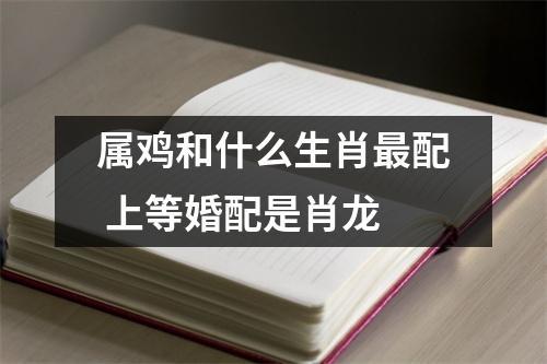 属鸡的最佳婚配