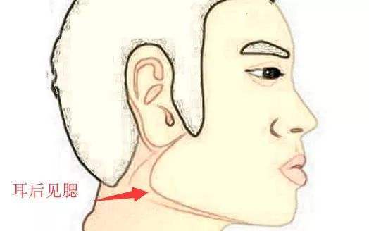 耳后见腮,反目无情!