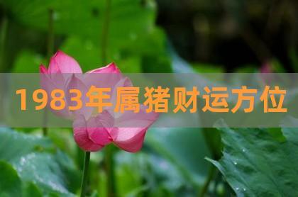 属猪的富贵八字