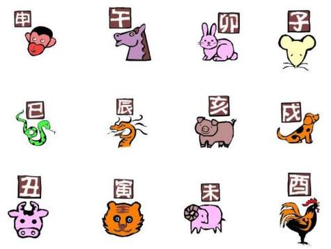 属兔的人小气程度排第几