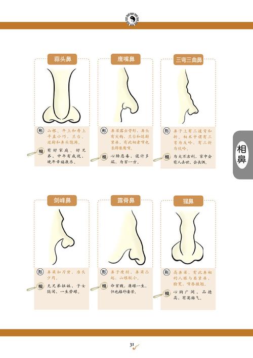 牛眼面相图解 面相牛鼻子图片