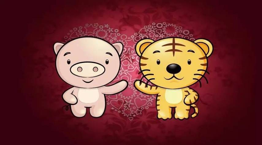 男属鼠和女属虎是几等婚姻
