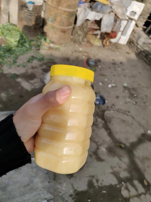 孕妇梦到种菜籽花有什么寓意预兆
