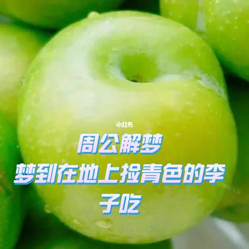 梦见李子是什么意思