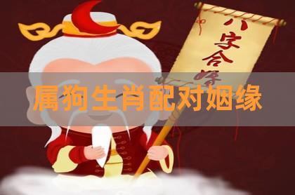 属狗人的正缘在哪一年