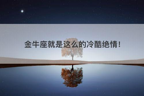 金牛座的深情岂是你轻易就能懂的