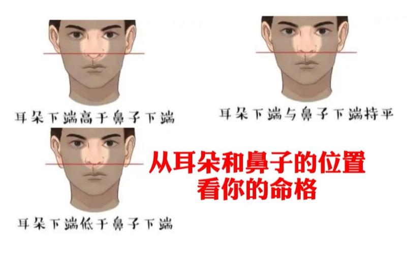 耳朵看相解析你的命运!